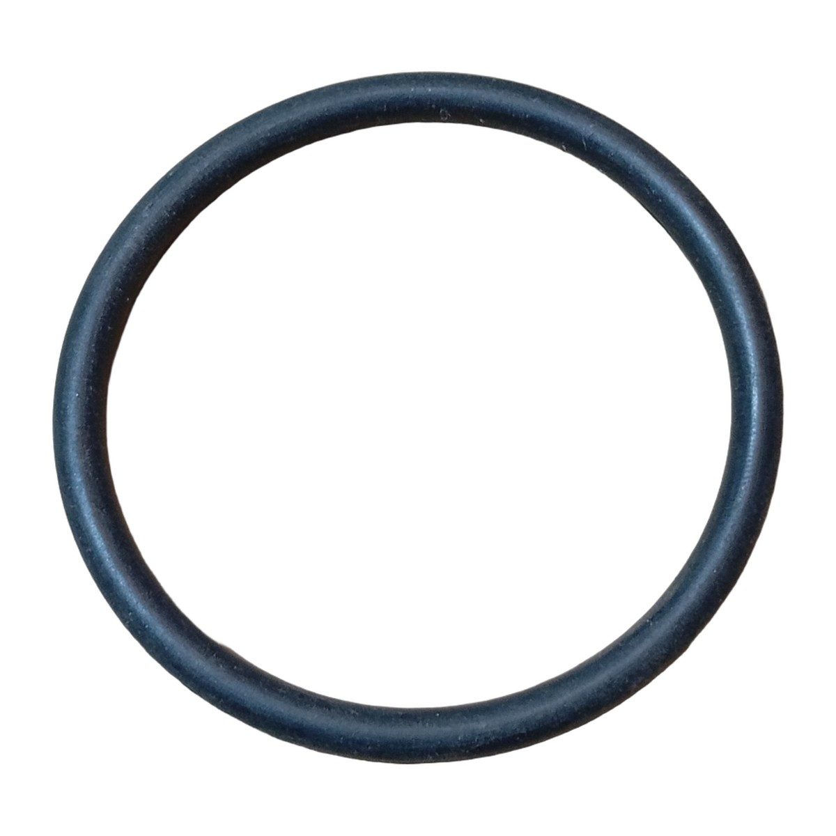 VEDADOR CARCACA TERMOSTATO MONZA (48 x 4 mm)