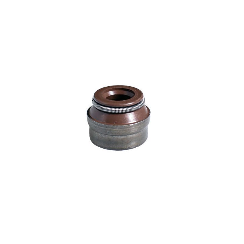 RETENTOR DE VALVULA VW/FIAT AP (8MM/02544)