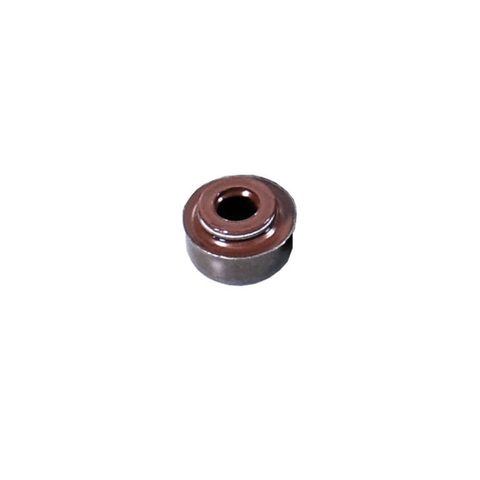 RET VALV FIAT/DAEWOO/GM (7MM/02509)(JG C/ 8PCS)