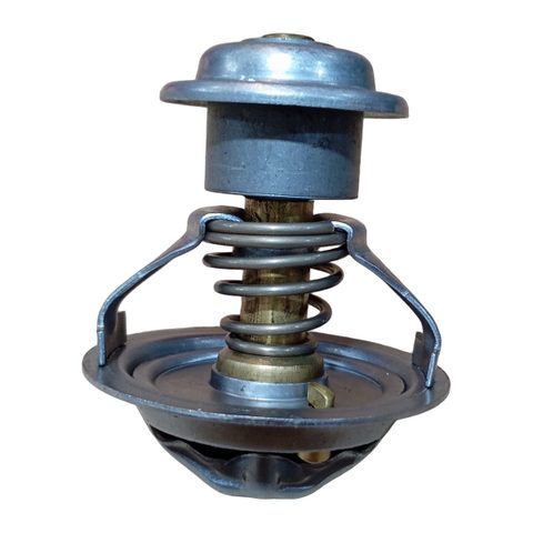 R.T FORD 1.0/1.6 ZETEC 99/08 GAS (C/ PROTEÇÃO 82º)