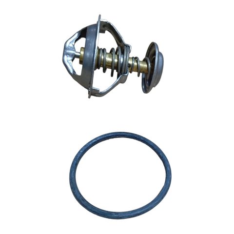 R.T FORD 1.0/1.6 ZETEC 99/08 GAS (S/ PROTEÇÃO 82º)