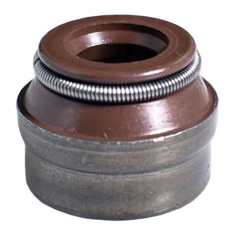 RET VALV GM/FIAT/AUDI/VW/PEUGEOT/DAEWOO (6MM/09203) (JG)